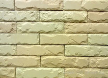 Load image into Gallery viewer, 18pcs Plastic Molds for Concrete Plaster Super Best Price Wall Stone Cement Tiles"old Brick" Decorative wall molds new design