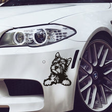 Load image into Gallery viewer, Aliauto 2 X Car Sticker Yorkie Dog Automobiles Motorcycle Decoration Vinyl Decal for Volkswagen Polo Lada Golf Kia,13cm*11cm