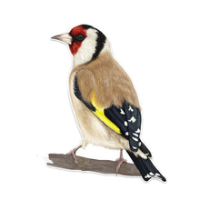 Load image into Gallery viewer, Aliauto Cute Creative Birds Decor Car Sticker Accessories Personalized Automobile Motorcycles Decoration Decals Vinyl,14cm*10cm