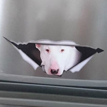 Load image into Gallery viewer, Aliauto Pet Dog Car Sticker White Bull Terrier Torn Metal Automobiles &amp; Motorcycles Vinyl Decal Waterproof,13cm*5cm