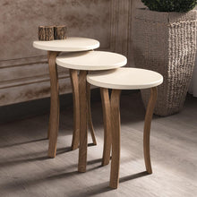 Load image into Gallery viewer, MADE IN TURKEY 3 Pieces Coffee Tables Mini Modern Beige Practical Tea Tables Living Room Zigon Wood Home Accessories