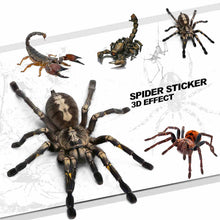 Load image into Gallery viewer, Noizzy Spider Scorpion Araneid Ho Vinyl Reflective Car Auto Sticker Decal Ipad Motorcycle Automobile Fashion Tuning Car Styling